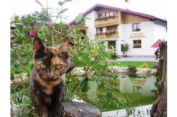 Slovačka Privát Oščadnica, Eksterijer